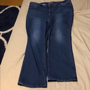 Maurices Everflex bootcut jeans size 24w long